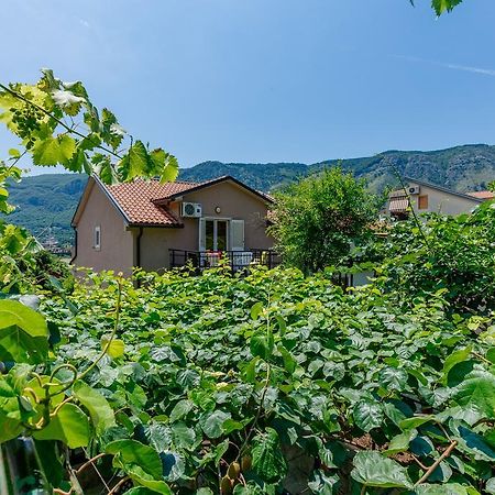 Spacious Central Magik Kotor Exterior foto